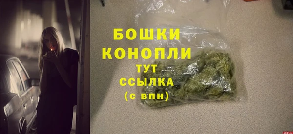 соль ск Богородск