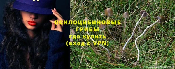 MDMA Богородицк
