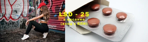 амф Богданович