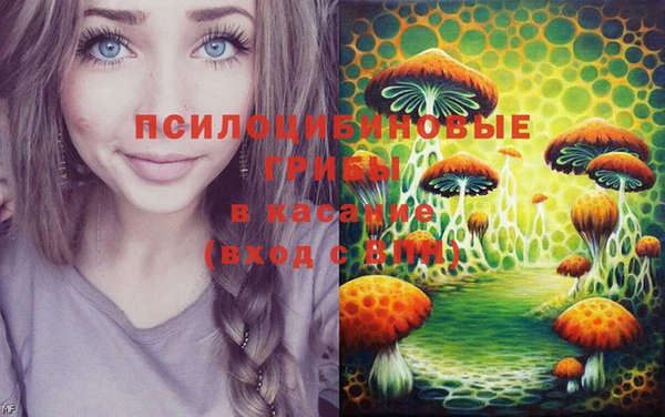 MDMA Богородицк